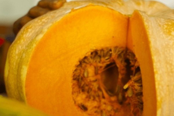Pumpkin a close up of a fruit