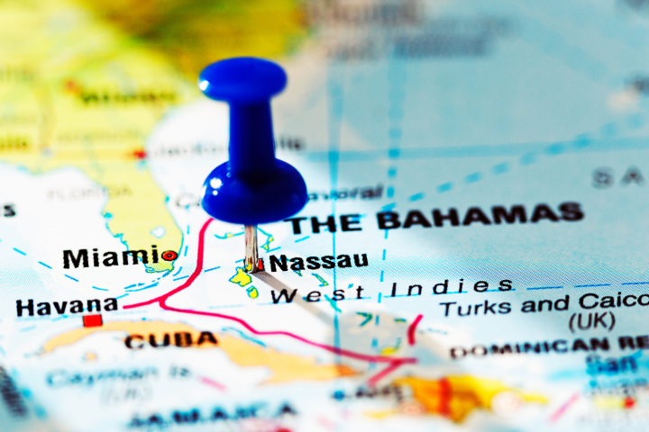 a close up of a piece of paper