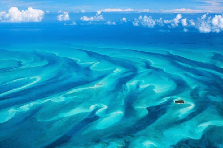 a fish swimming under water