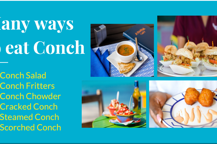 graphical user interface, website